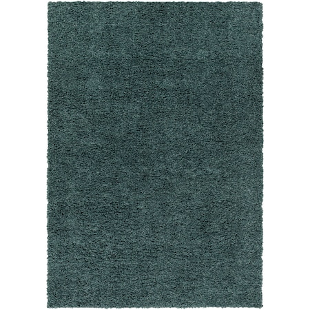 Livabliss Deluxe Shag DXS-2326 Machine Crafted Area Rug DXS2326-5373
